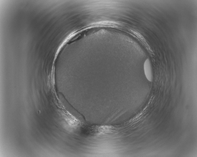 X0000051881180200507221942