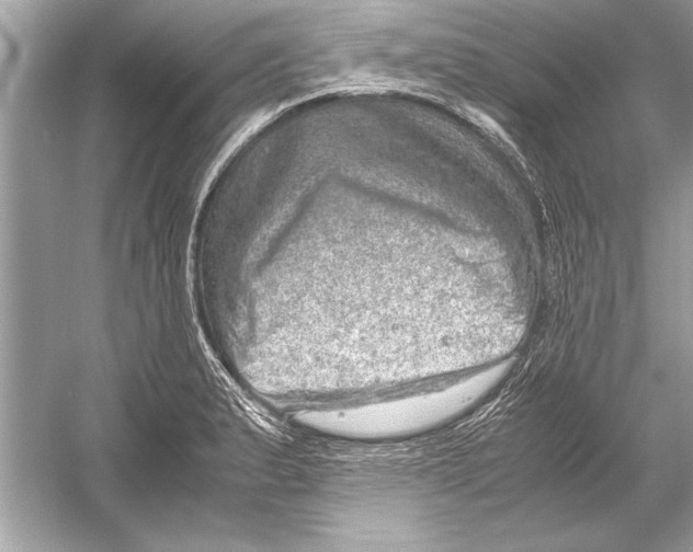 X0000051881183200507221941