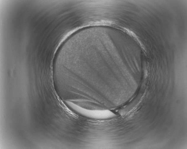 X0000051881184200507221941