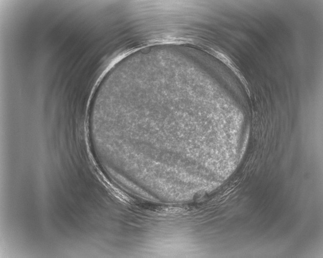 X0000051881187200507221941