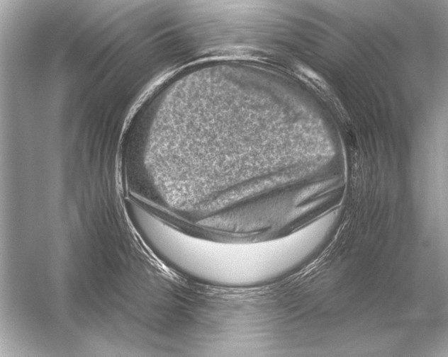 X0000051881188200507221941