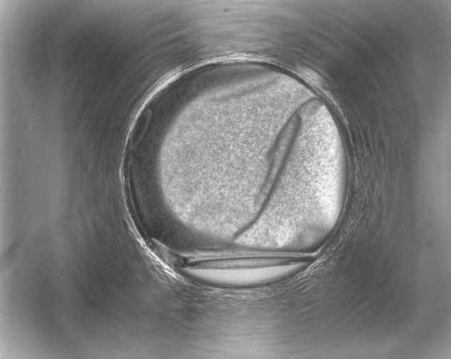 X0000051881189200507221941