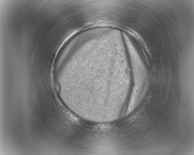 X0000051881190200507221941