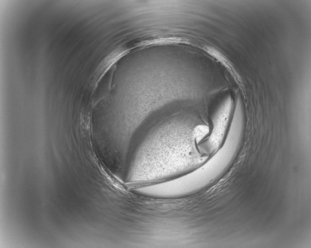 X0000051881193200507221941