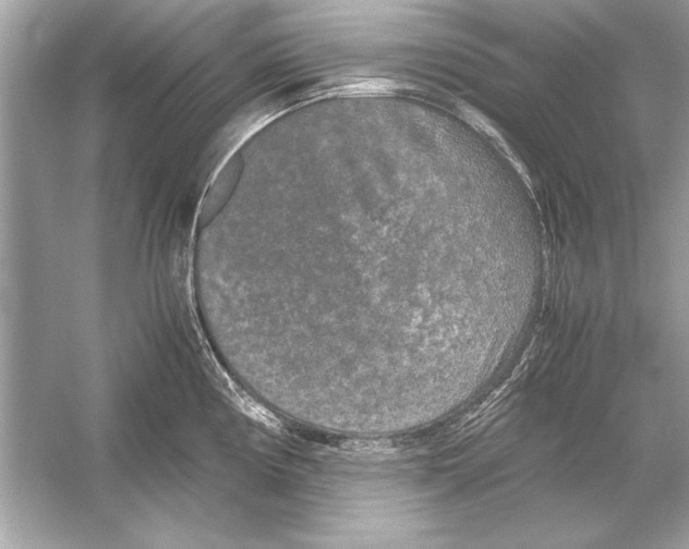 X0000051881194200507221941