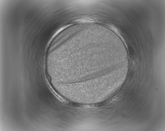 X0000051881195200507221941