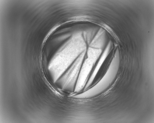 X0000051881196200507221941