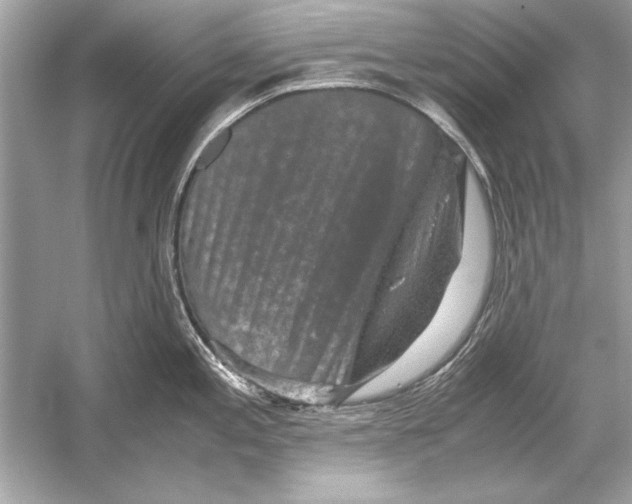 X0000051881197200507221941