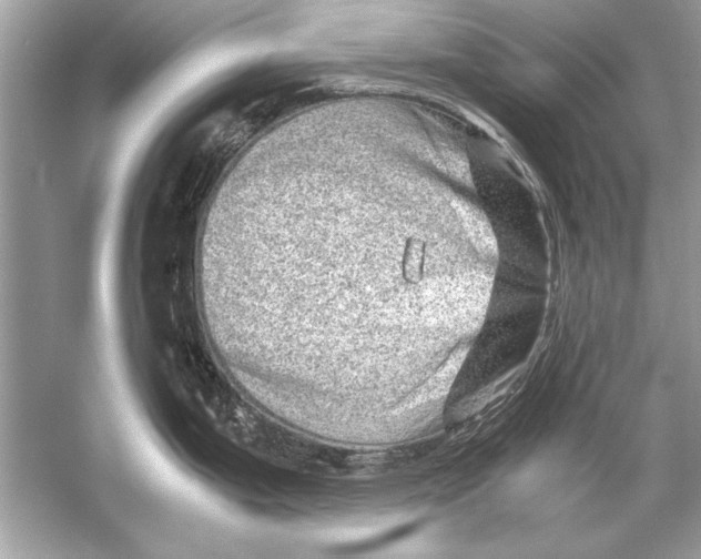 X0000051881199200507221941