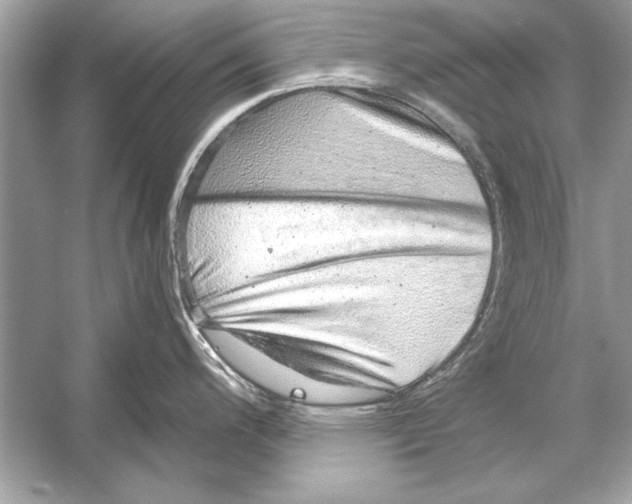 X0000051881200200507221941