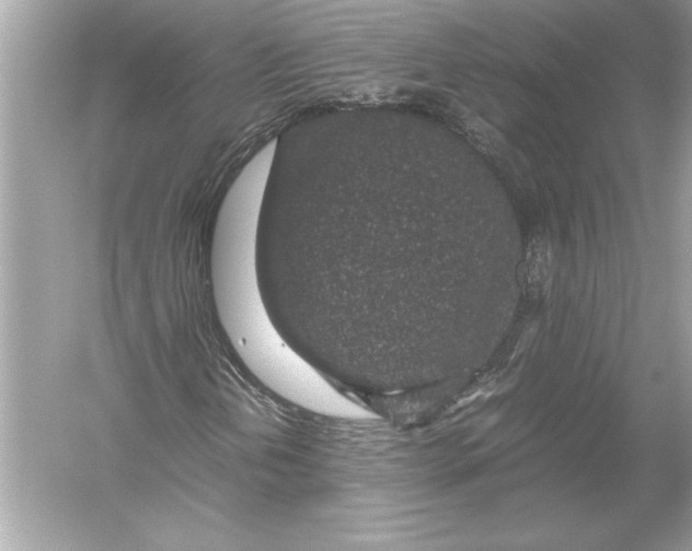 X0000051881202200507221940