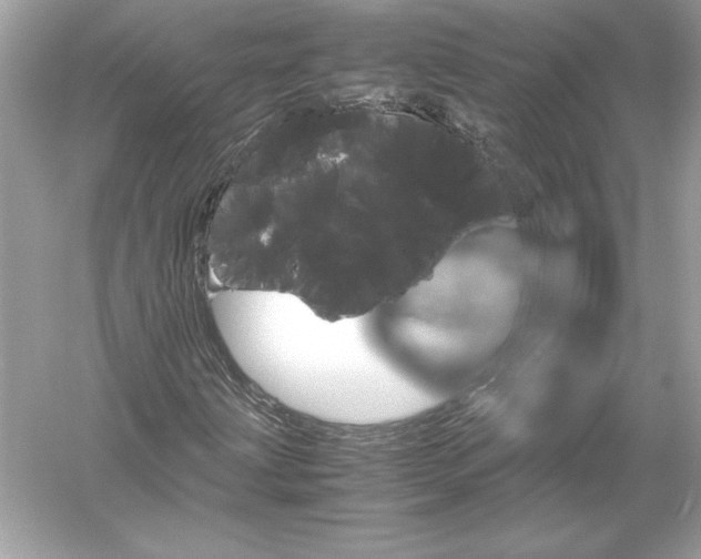 X0000051881203200507221940