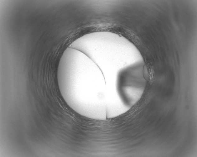 X0000051881204200507221940