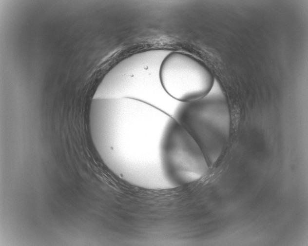 X0000051881205200507221940