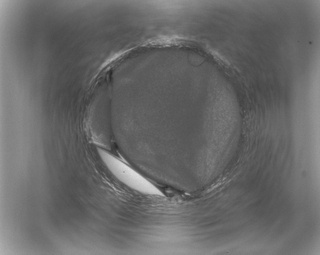 X0000051881206200507221940