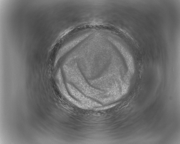 X0000051881207200507221940