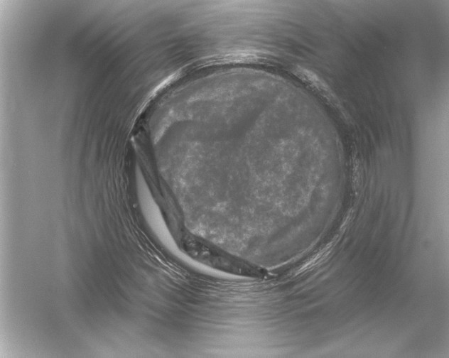 X0000051881210200507221941