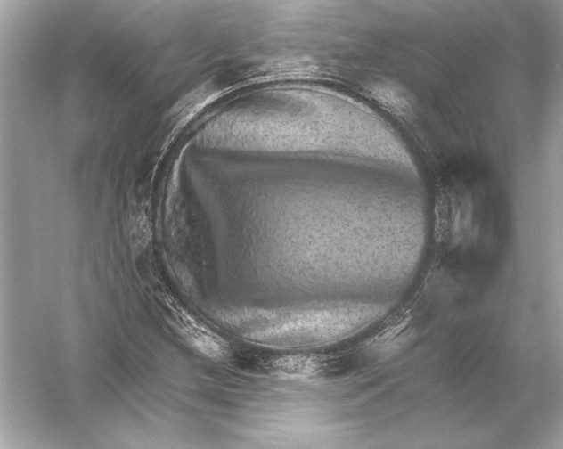 X0000051881212200507221941