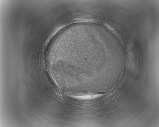 X0000051881215200507221941