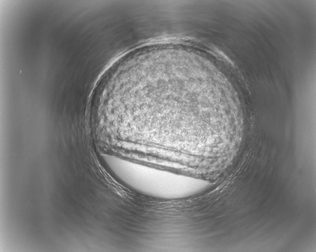 X0000051881216200507221941