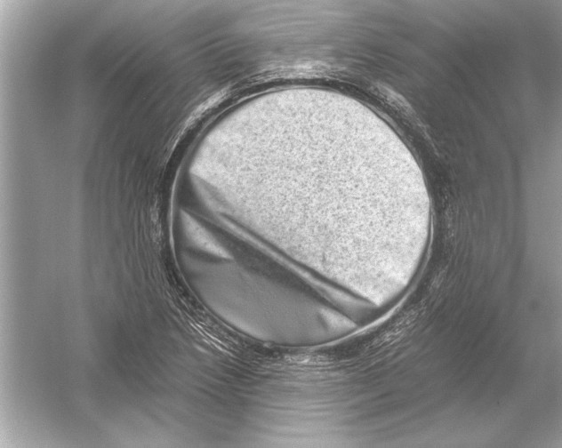 X0000051881218200507221941