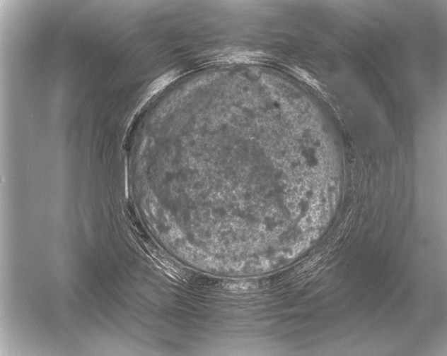 X0000051881219200507221941