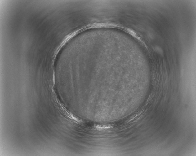 X0000051881221200507221941