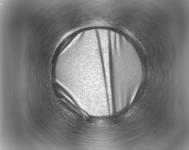 X0000051881222200507221941