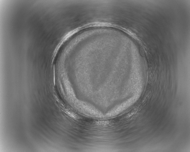 X0000051881223200507221941