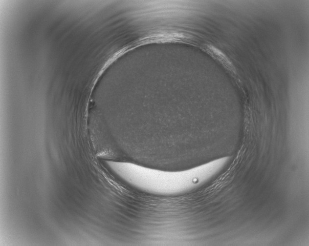 X0000051881226200507221941