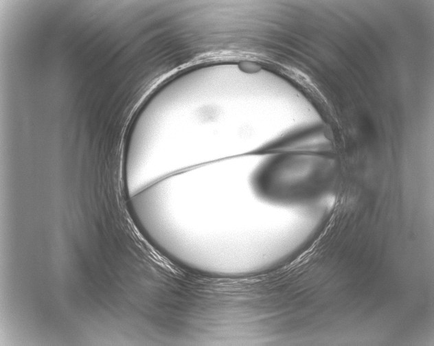 X0000051881228200507221941