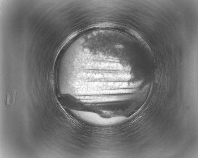 X0000051881229200507221941