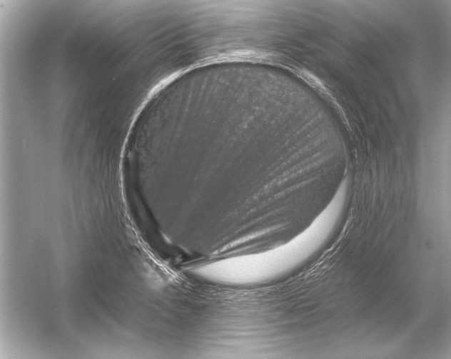 X0000051881230200507221941