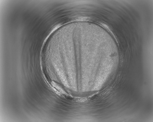 X0000051881235200507221941