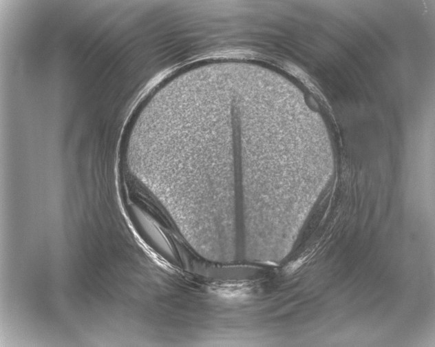 X0000051881237200507221941