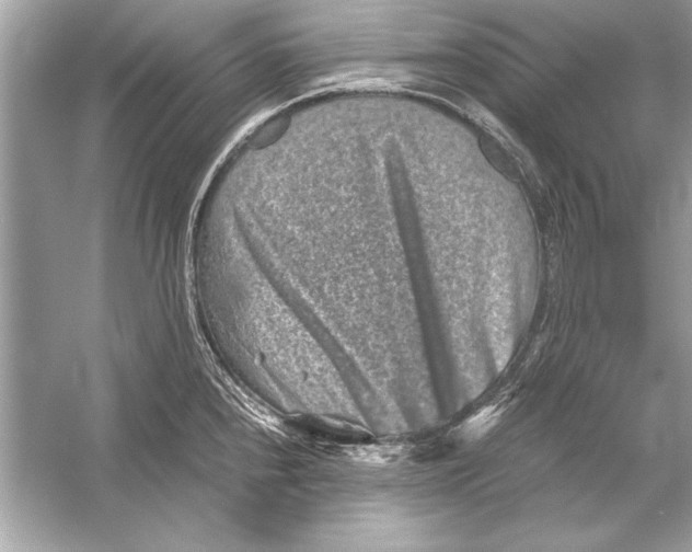 X0000051881240200507221941