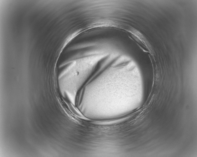 X0000051881242200507221941