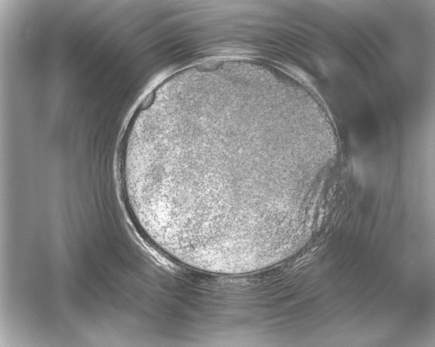 X0000051881243200507221941