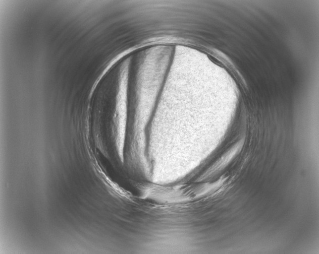 X0000051881244200507221941