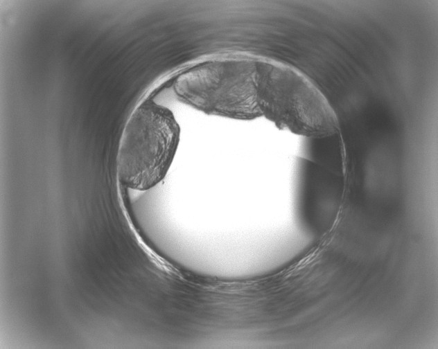 X0000051881245200507221941