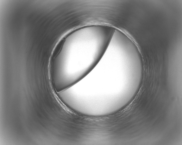 X0000051881246200507221941