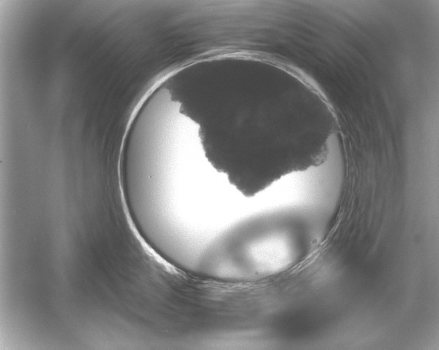 X0000051881247200507221941