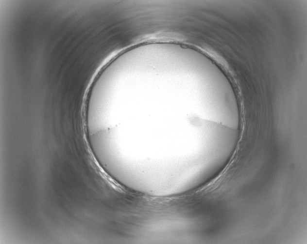 X0000051881248200507221941