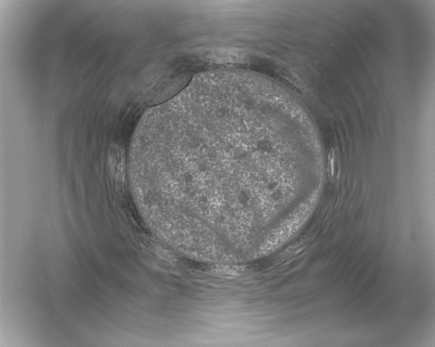 X0000051881251200507221940