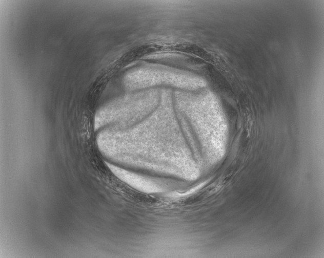 X0000051881253200507221940