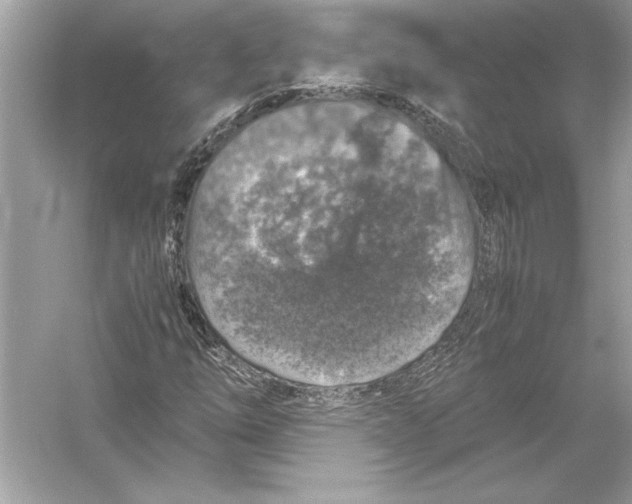 X0000051881254200507221940