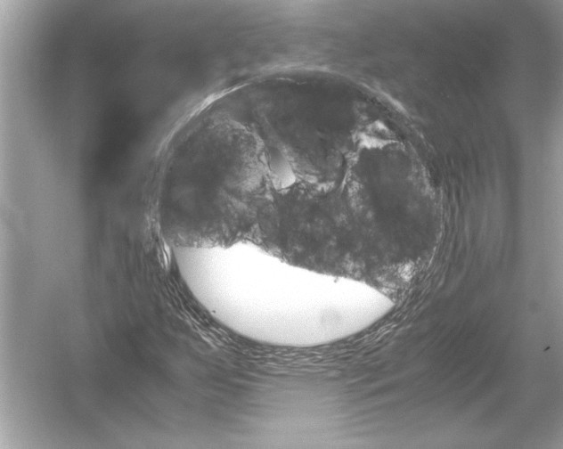 X0000051881255200507221940