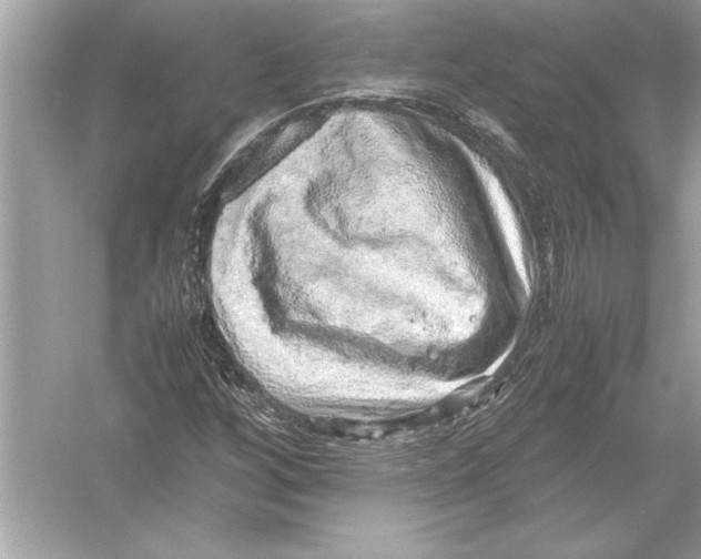 X0000051881256200507221940