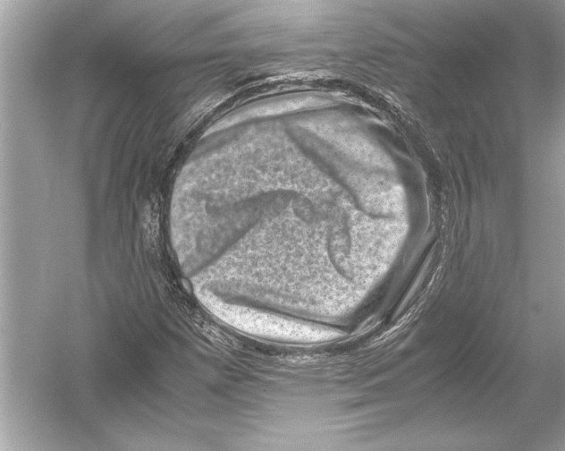 X0000051881257200507221940