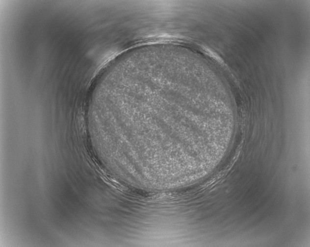 X0000051881259200507221940